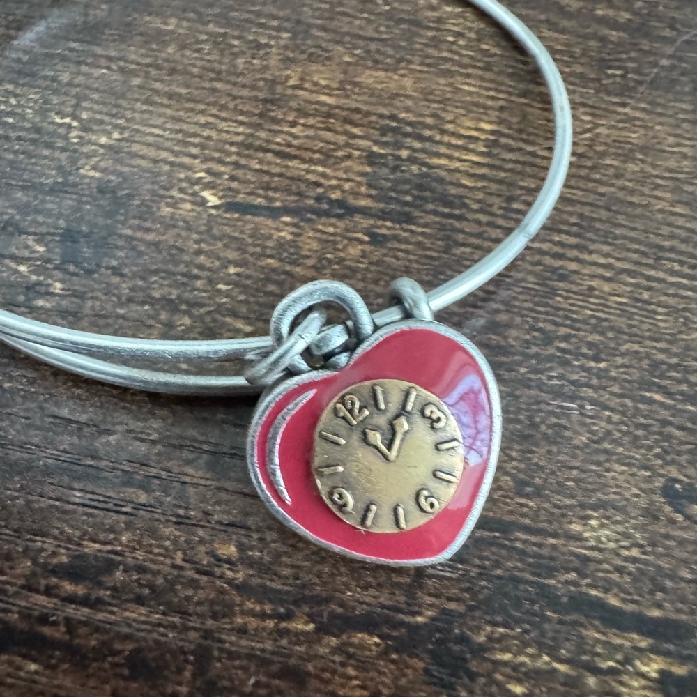 Alex and Ani wizard of oz Heart Charm Bracelet